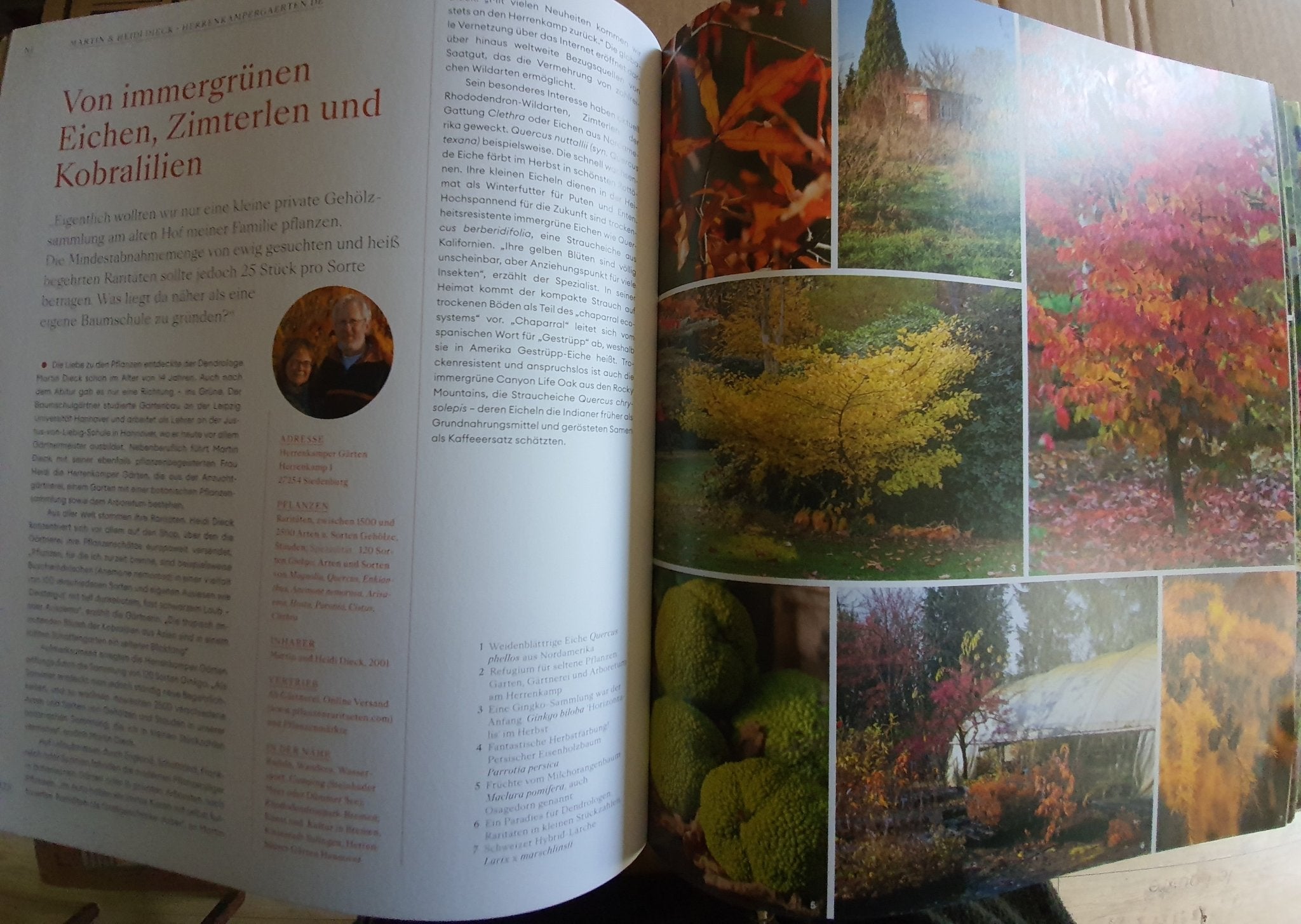 Das Große Buch der Gärtnerinnen und Gärtner - Herrenkamper Gärten - Pflanzenraritäten