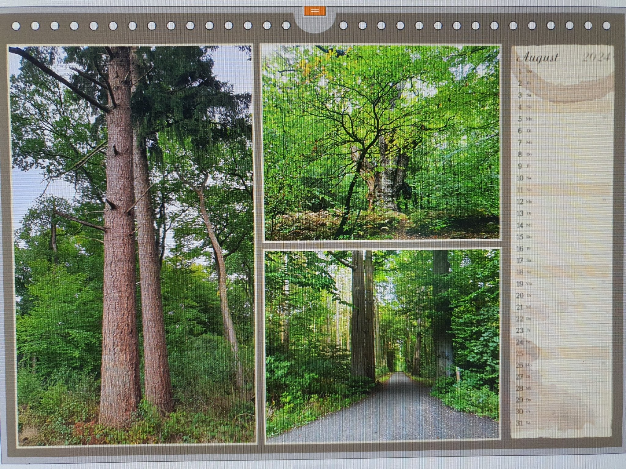 Landschaftskalender 2024 - Herrenkamper Gärten - Pflanzenraritäten