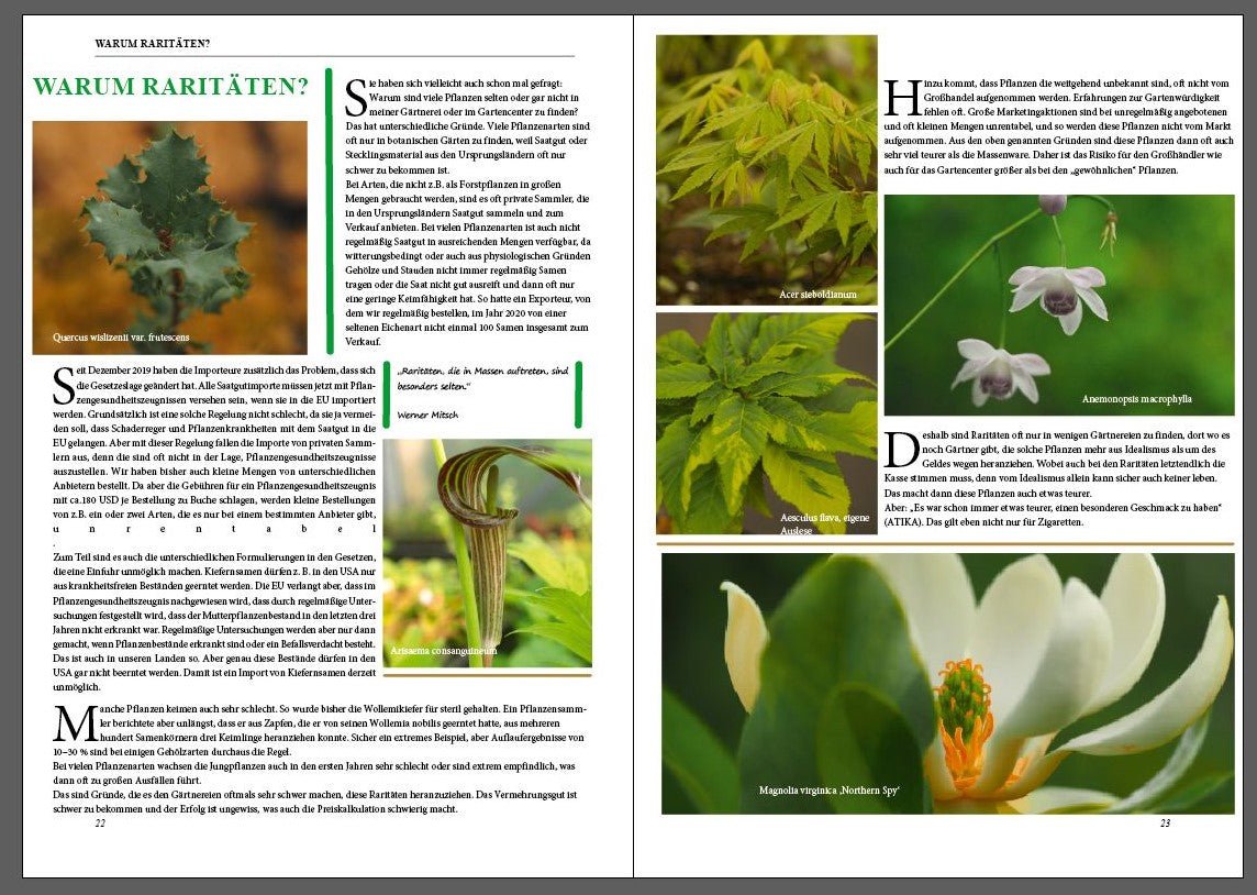 Magazin - Herrenkamper Gärten - Pflanzenraritäten
